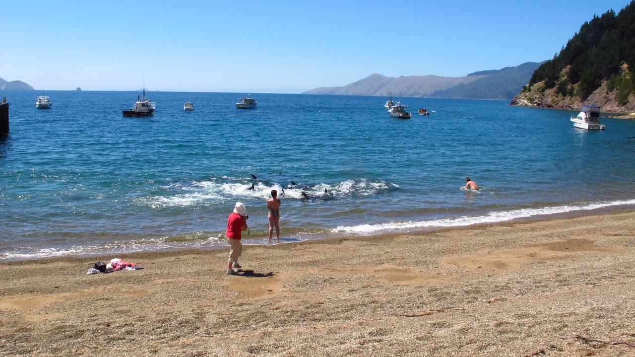 French Pass Beachfront Villas Elmslie Bay Εξωτερικό φωτογραφία
